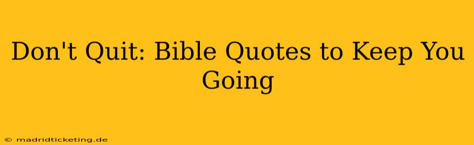 Don't Quit: Bible Quotes to Keep You Going