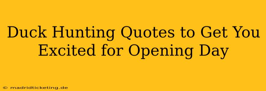 Duck Hunting Quotes to Get You Excited for Opening Day