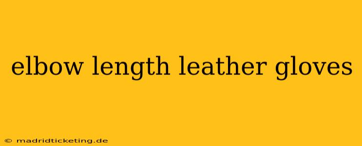 elbow length leather gloves