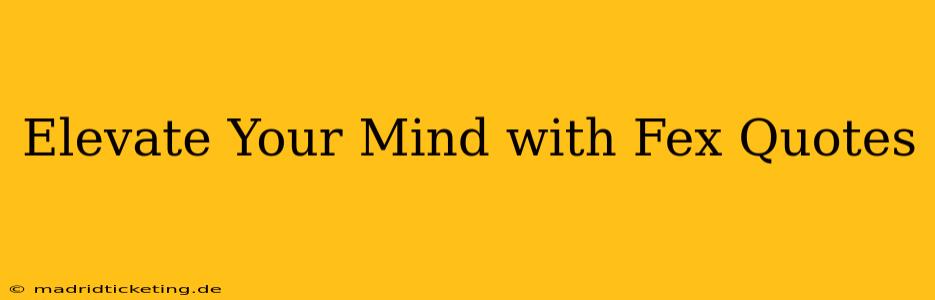 Elevate Your Mind with Fex Quotes