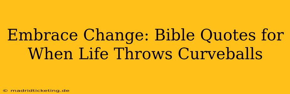 Embrace Change: Bible Quotes for When Life Throws Curveballs