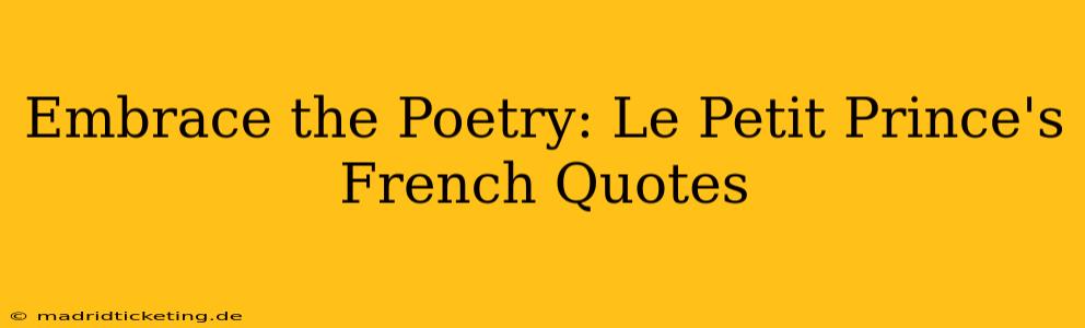 Embrace the Poetry: Le Petit Prince's French Quotes