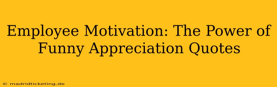 Employee Motivation: The Power of Funny Appreciation Quotes