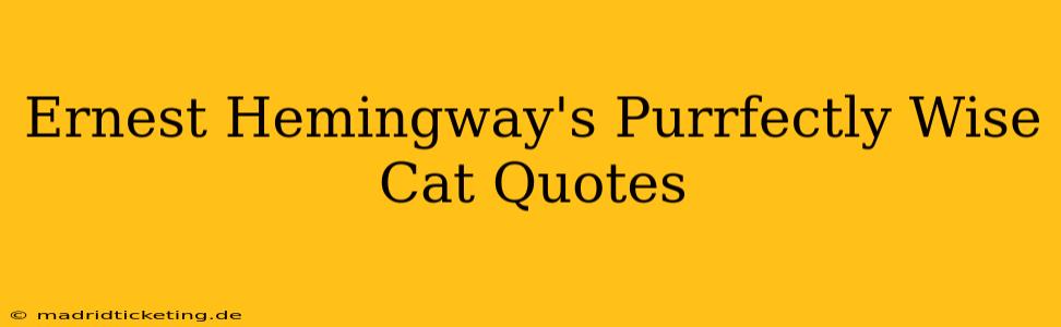 Ernest Hemingway's Purrfectly Wise Cat Quotes