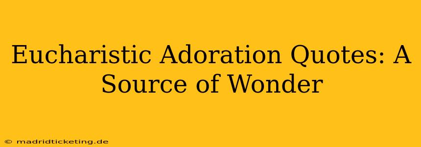 Eucharistic Adoration Quotes: A Source of Wonder