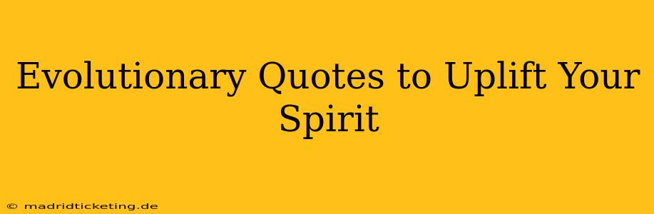 Evolutionary Quotes to Uplift Your Spirit