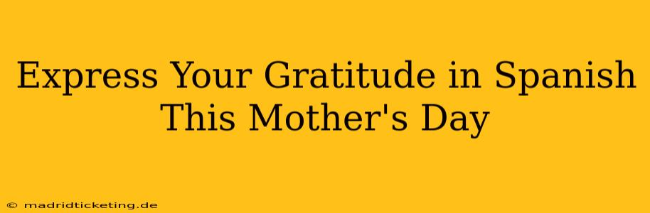 Express Your Gratitude in Spanish This Mother's Day