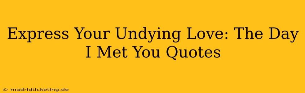Express Your Undying Love: The Day I Met You Quotes