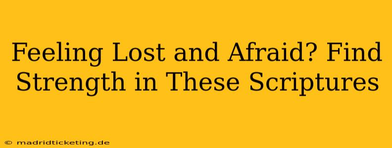 Feeling Lost and Afraid? Find Strength in These Scriptures