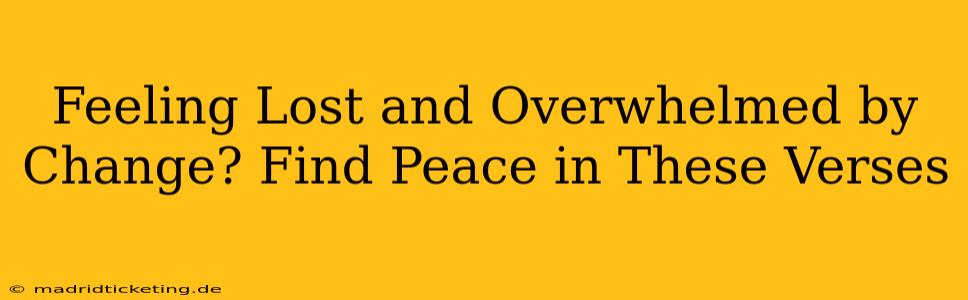 Feeling Lost and Overwhelmed by Change? Find Peace in These Verses