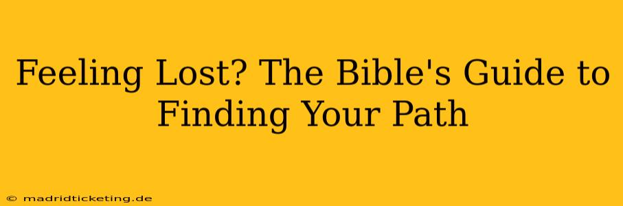 Feeling Lost? The Bible's Guide to Finding Your Path