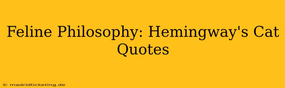 Feline Philosophy: Hemingway's Cat Quotes