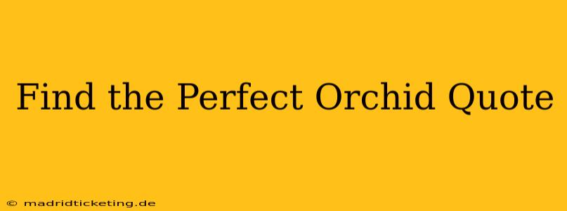 Find the Perfect Orchid Quote