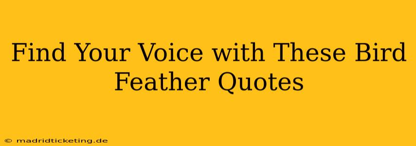 Find Your Voice with These Bird Feather Quotes
