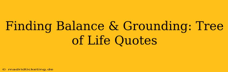 Finding Balance & Grounding: Tree of Life Quotes