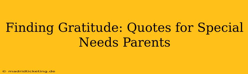 Finding Gratitude: Quotes for Special Needs Parents