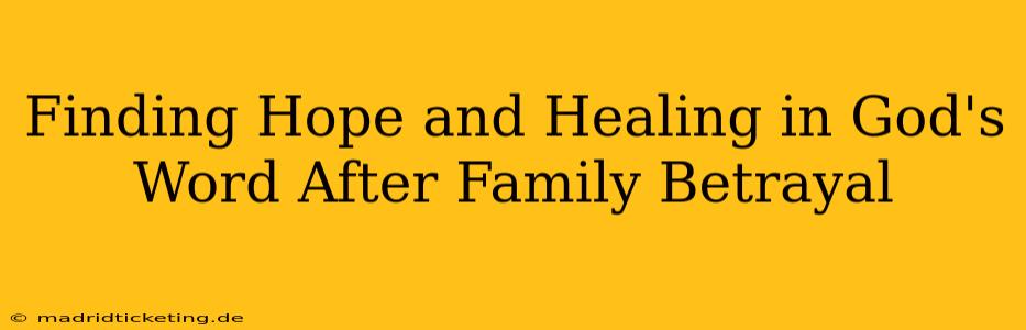 Finding Hope and Healing in God's Word After Family Betrayal