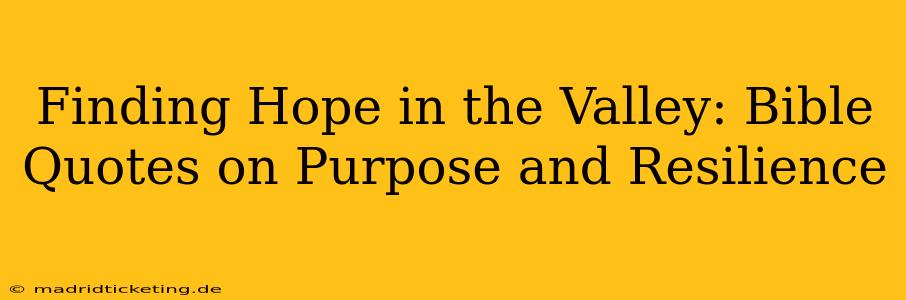 Finding Hope in the Valley: Bible Quotes on Purpose and Resilience