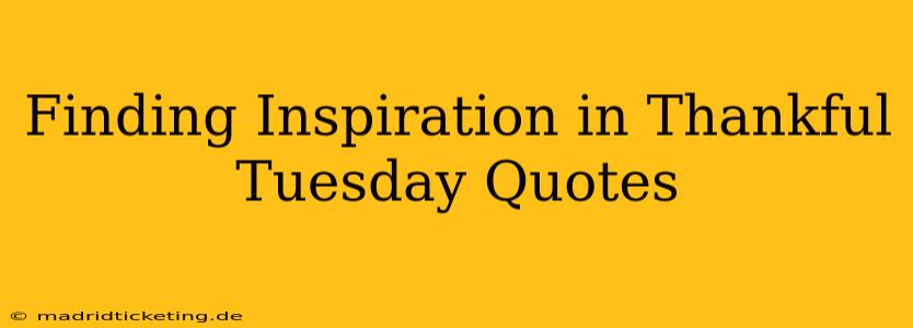 Finding Inspiration in Thankful Tuesday Quotes