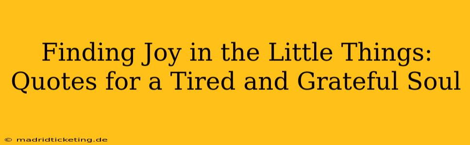 Finding Joy in the Little Things: Quotes for a Tired and Grateful Soul