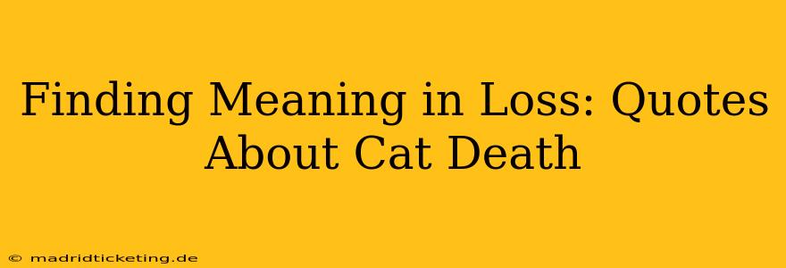 Finding Meaning in Loss: Quotes About Cat Death