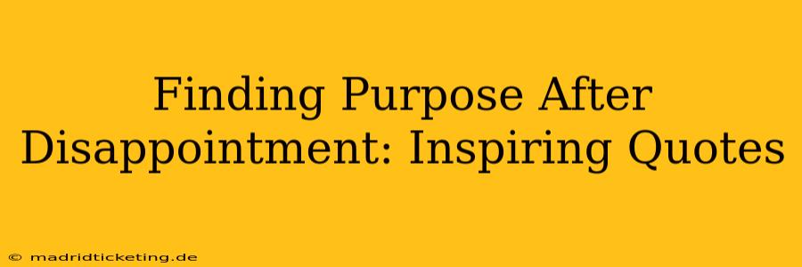 Finding Purpose After Disappointment: Inspiring Quotes