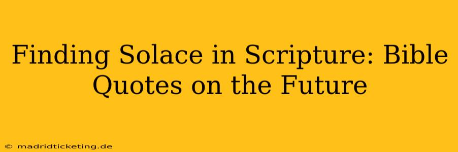 Finding Solace in Scripture: Bible Quotes on the Future