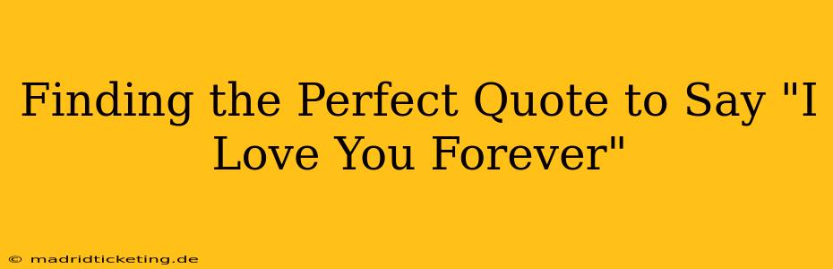 Finding the Perfect Quote to Say "I Love You Forever"