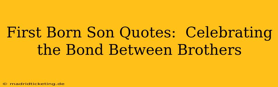 First Born Son Quotes:  Celebrating the Bond Between Brothers