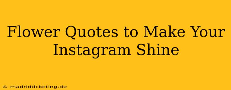 Flower Quotes to Make Your Instagram Shine