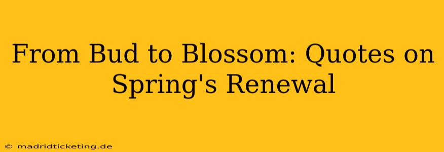 From Bud to Blossom: Quotes on Spring's Renewal