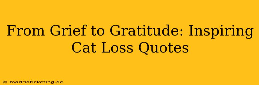 From Grief to Gratitude: Inspiring Cat Loss Quotes