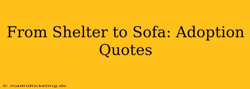 From Shelter to Sofa: Adoption Quotes