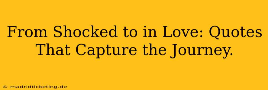 From Shocked to in Love: Quotes That Capture the Journey.