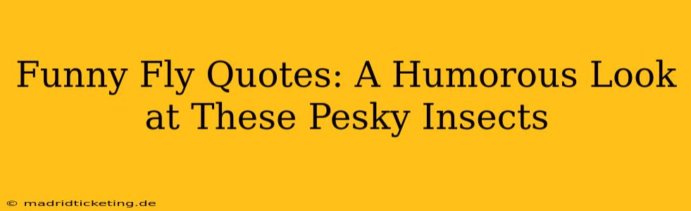 Funny Fly Quotes: A Humorous Look at These Pesky Insects