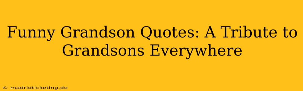 Funny Grandson Quotes: A Tribute to Grandsons Everywhere