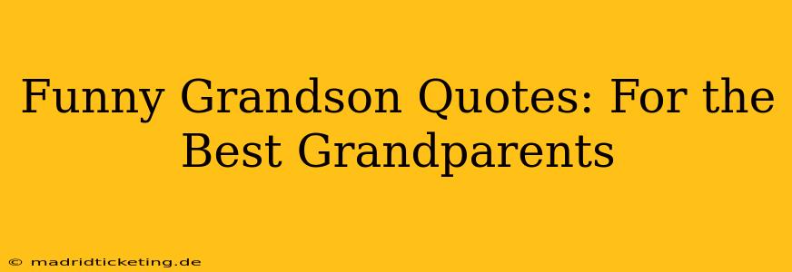 Funny Grandson Quotes: For the Best Grandparents