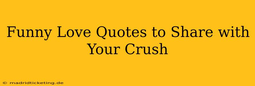 Funny Love Quotes to Share with Your Crush