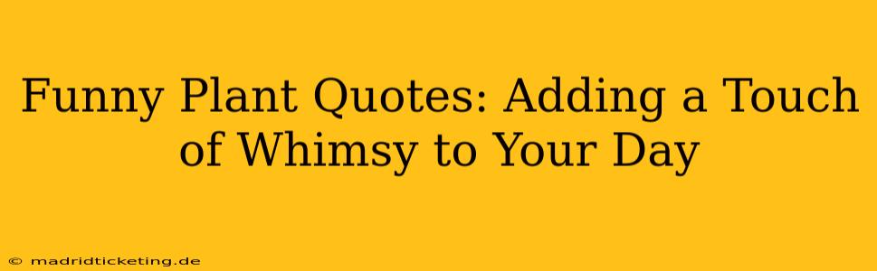 Funny Plant Quotes: Adding a Touch of Whimsy to Your Day