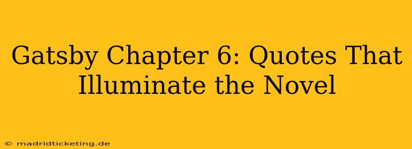 Gatsby Chapter 6: Quotes That Illuminate the Novel