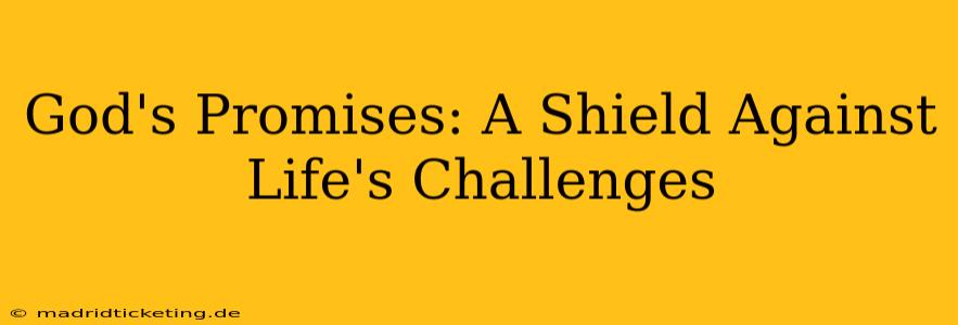God's Promises: A Shield Against Life's Challenges