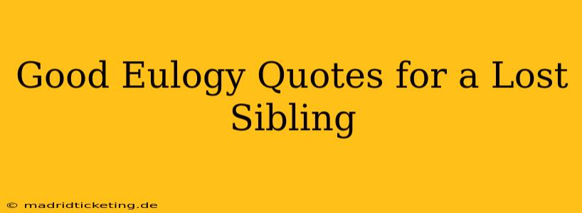 Good Eulogy Quotes for a Lost Sibling