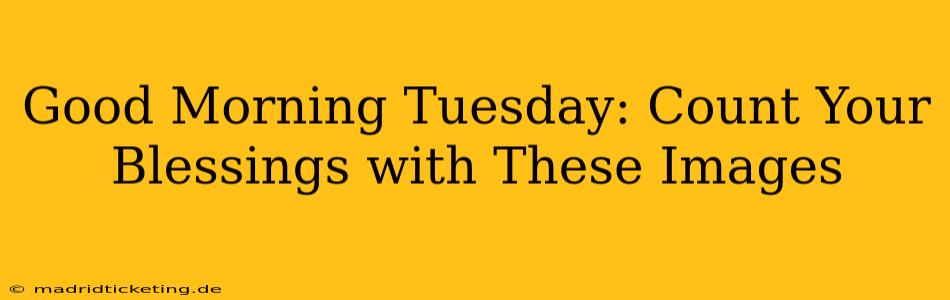 Good Morning Tuesday: Count Your Blessings with These Images