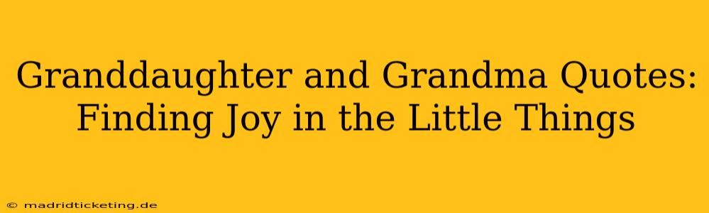 Granddaughter and Grandma Quotes: Finding Joy in the Little Things