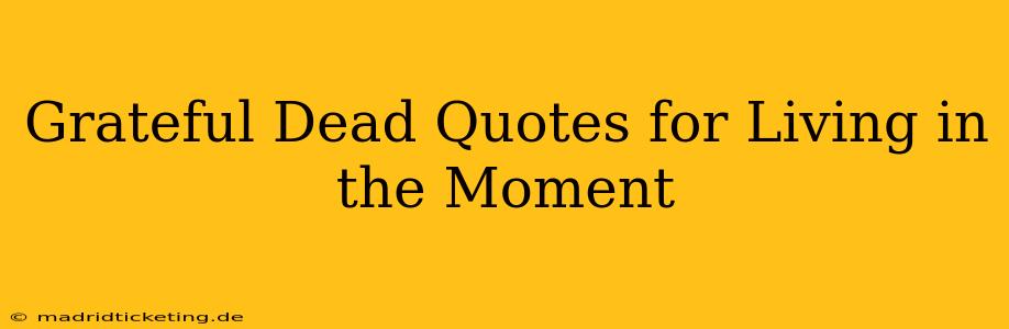 Grateful Dead Quotes for Living in the Moment