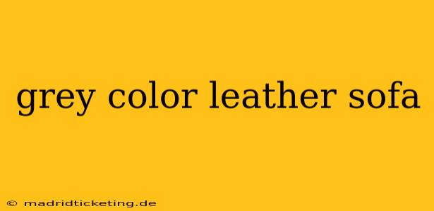 grey color leather sofa