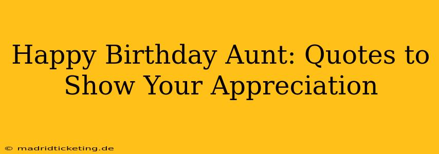 Happy Birthday Aunt: Quotes to Show Your Appreciation
