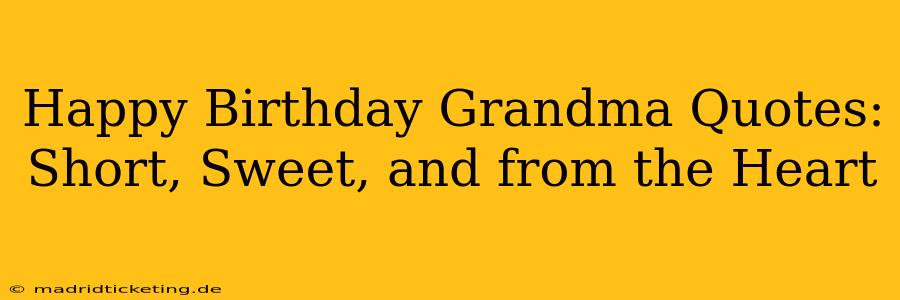 Happy Birthday Grandma Quotes: Short, Sweet, and from the Heart