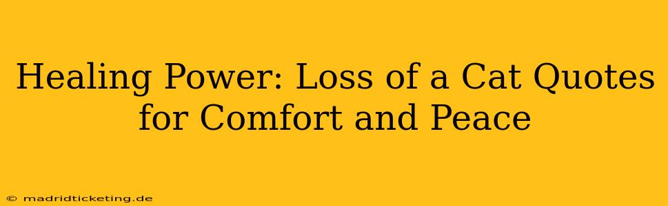 Healing Power: Loss of a Cat Quotes for Comfort and Peace