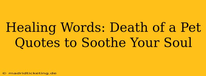 Healing Words: Death of a Pet Quotes to Soothe Your Soul